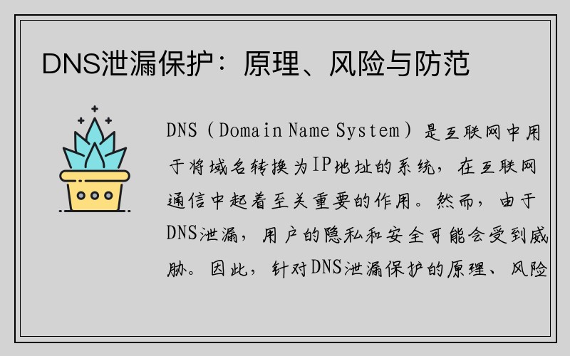 DNS泄漏保护：原理、风险与防范